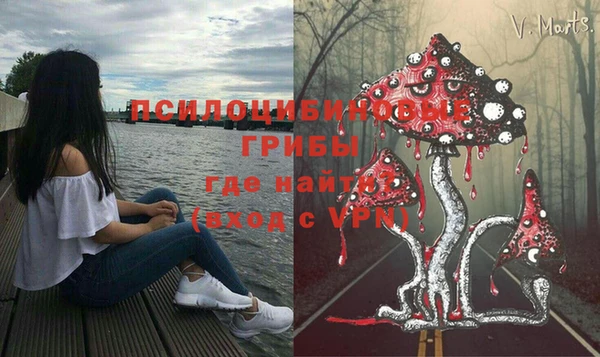 MESCALINE Няндома