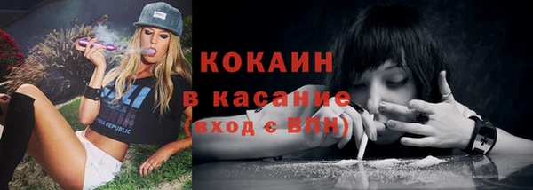 дмт Нягань