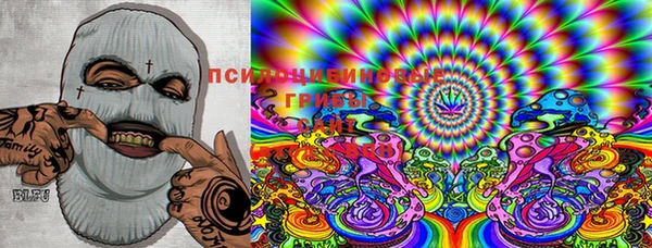 дмт Нягань