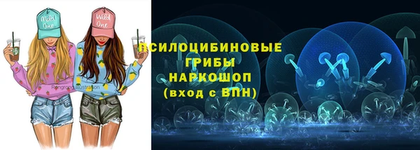 дмт Нягань