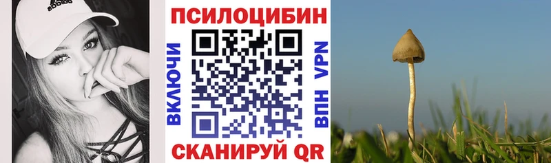 Галлюциногенные грибы Magic Shrooms  Слюдянка 